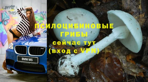 PSILOCYBIN Наволоки